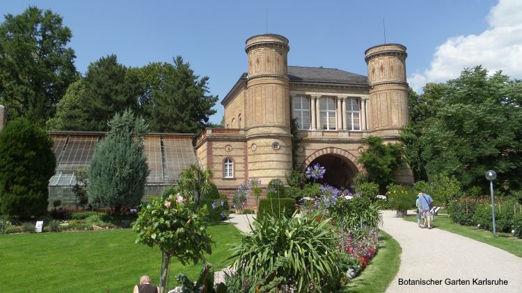 Botanischer Garten